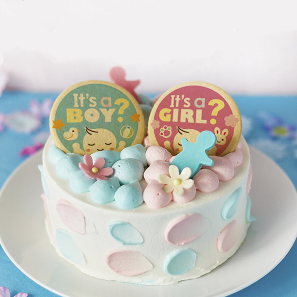 ジェンダー リビール 2023 ギフト ケーキ プレーン 6号 6~8名 5号 4~6名 性別 お披露目 ギフト ケーキ 洋菓子 お菓子 お取り寄せスイーツ 通販 人気 贈り物 おすすめ 有名 フォチェッタ focetta