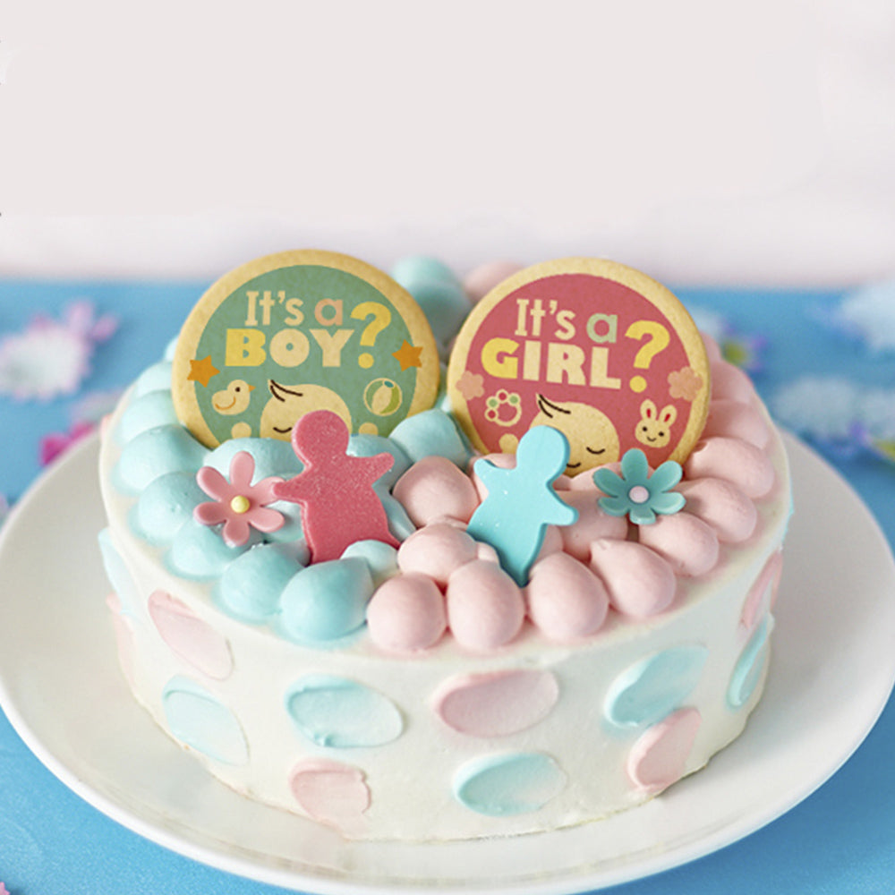 ジェンダー リビール 2023 ギフト ケーキ プレーン 6号 6~8名 5号 4~6名 性別 お披露目 ギフト ケーキ 洋菓子 お菓子 お取り寄せスイーツ 通販 人気 贈り物 おすすめ 有名 フォチェッタ focetta