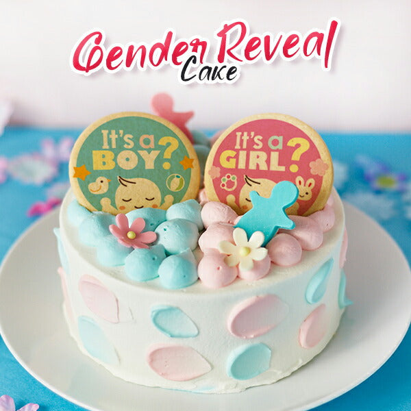 ジェンダー リビール 2023 ギフト ケーキ プレーン 6号 6～8名 5号 4～6名 性別 お披露目 ギフト ケーキ 洋菓子 お菓子 お取り寄せスイーツ 通販 人気 贈り物 おすすめ 有名 フォチェッタ focetta