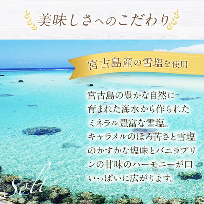 【 父の日 2023 】 【 ヒルナンデス 】 天空のプリン スイーツ 2023 バースデー ギフト 雅 濃厚 最高級 プリン 誕生日 金箔 洋菓子 お取り寄せ スイーツ ギフト プレゼント 贈り物 瓶 詰め合わせ