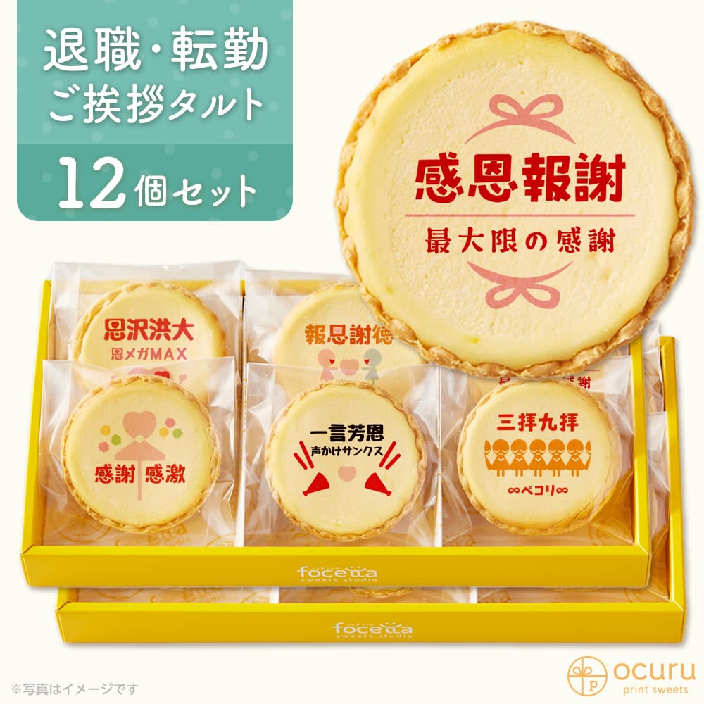 四字熟語 感謝シリーズ メッセージ 2023 チーズタルト チーズケーキ タルト フロマージュ イラスト プリント スイーツ 退職・休職・転勤 退職時のご挨拶用 プチギフト お取り寄せスイーツ 通販 贈り物 人気 贈り物 おすすめ 有名