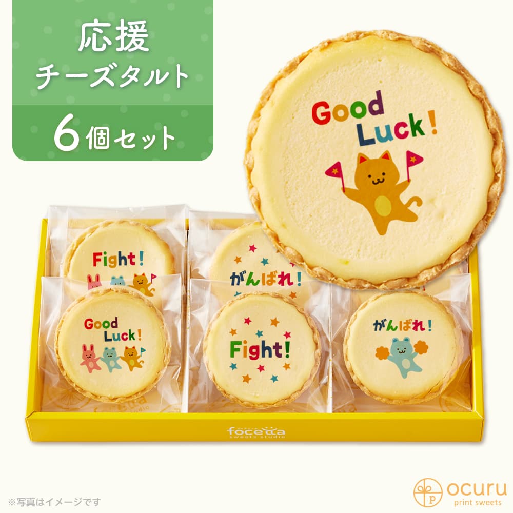 応援 がんばれ応援セット メッセージ 2023 チーズタルト チーズケーキ タルト フロマージュ イラスト プリント スイーツ 応援を送りたい がんばれ！ チーズ プチギフト お取り寄せスイーツ 通販 贈り物 人気 贈り物 おすすめ 有名