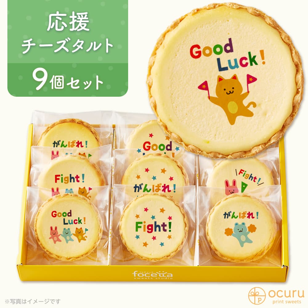 応援 がんばれ応援セット メッセージ 2023 チーズタルト チーズケーキ タルト フロマージュ イラスト プリント スイーツ 応援を送りたい がんばれ！ チーズ プチギフト お取り寄せスイーツ 通販 贈り物 人気 贈り物 おすすめ 有名