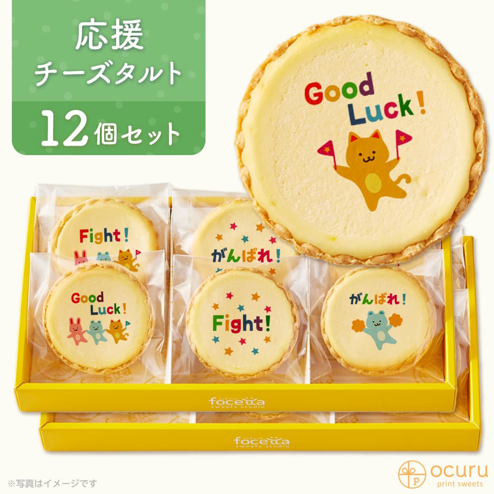 応援 がんばれ応援セット メッセージ 2023 チーズタルト チーズケーキ タルト フロマージュ イラスト プリント スイーツ 応援を送りたい がんばれ！ チーズ プチギフト お取り寄せスイーツ 通販 贈り物 人気 贈り物 おすすめ 有名