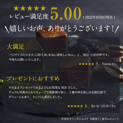 【 父の日 2023 】 スイーツ 2023 天空の テリーヌショコラ キューブ アソート 9個入り ショコラ 抹茶 トンカ豆 チョコレート テリーヌ ギフト 濃厚 誕生日 洋菓子 お菓子 人気 お取り寄せスイーツ 通販 贈り物